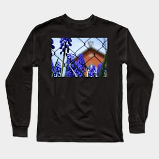 Grape Hyacinth at the Red Brick Schoolhouse Long Sleeve T-Shirt